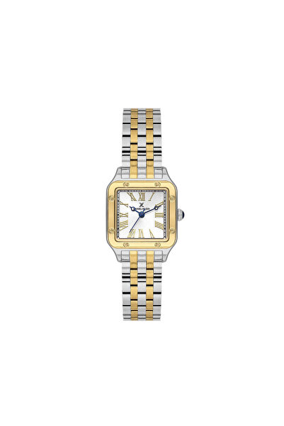 Daniel Klein Premium Silver and Gold Stainless Steel Watch for Women DK.1.141...