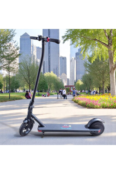 Generic Economy Scooter 8 inch 36V