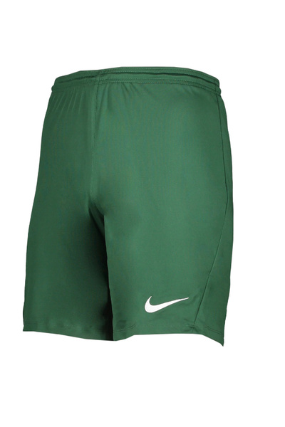 Nike Shorts, Green