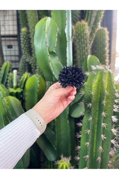 KOZALILAR Yapay Çiçek 10'lu Mini Boy Tek Baş Yapay Kasımpatı(Çap:6 cm)