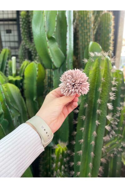 KOZALILAR Yapay Çiçek 10'lu Mini Boy Tek Baş Yapay Kasımpatı(Çap:6 cm)