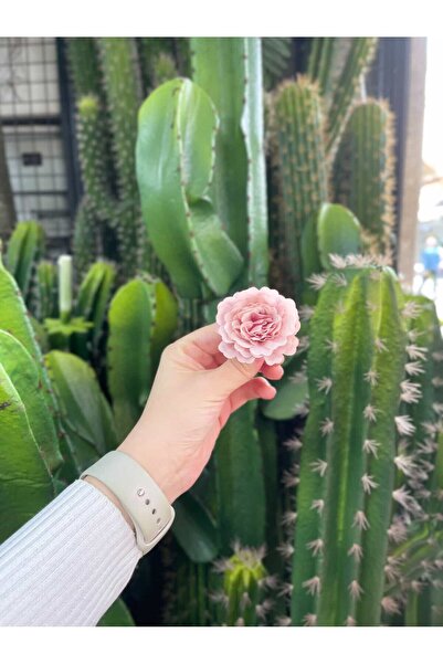 KOZALILAR Yapay Çiçek 10'lu Mini Boy Tek Baş Katmerli Gül Soft Pembe(Çap:5,5 cm)