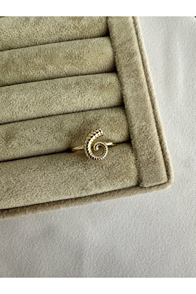 ringbox Gold Spiral Tail Steel Ring