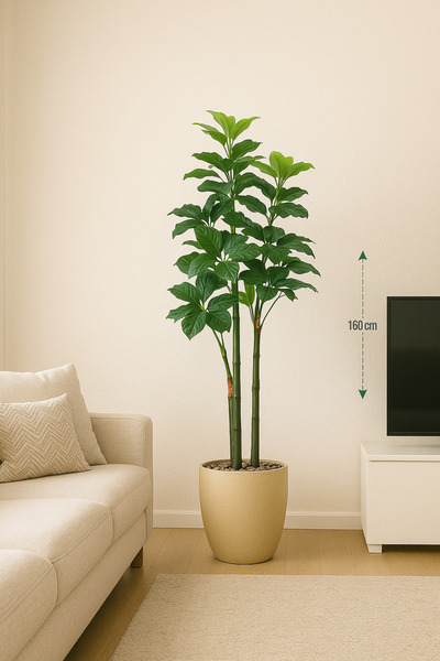 SADANHOME Schefflera tree, plastic pot - 160 cm