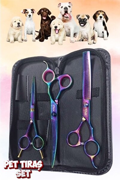 xolo Rainbow Kedi Köpek Profesyonel Pet Kuaför Makas Seti 4 Parça Kavisli