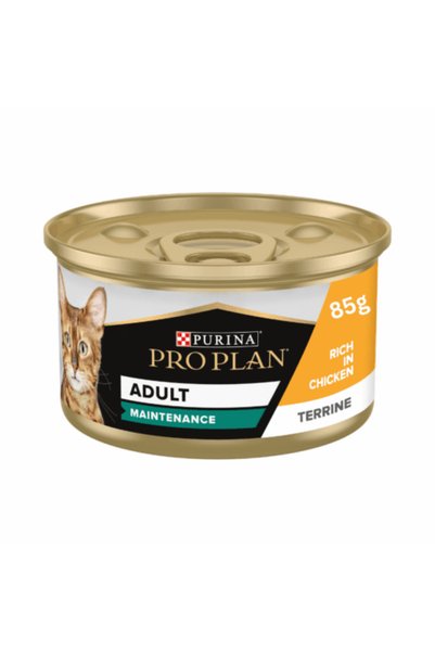 Purina Veterinary Diets PRO PLAN – Adult Maintenance Cat Food, Chicken Terrine, 85 g Can