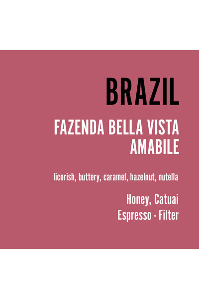 Typica Coffee Brazil Fazenda Bella Vista Amabile