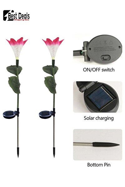 Generic Set Of 2 Solar Simulation Lily Flower Decorative Lights, Adjustable Lighting Type, Colorful Lighting