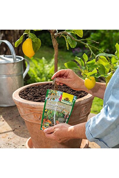NEUDORF Azet fertilizer sticks for citrus & Mediterranean plants, 40 pcs, Neudorff