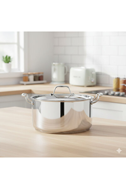 Maxima قدر طهي ماكسيما استيل الهندي المقاوم للصدأ بقاعدة ثلاثية الطبقات غير لاصقة مقاس 20 سم