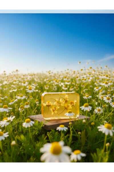 TrendMilano Natural Chamomile Soap 120 Gr - Cleansing, Chamomile Oil and Grain Soap for Oily Skin