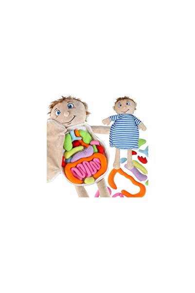 Three top online Mascot doll learning anatomy boy