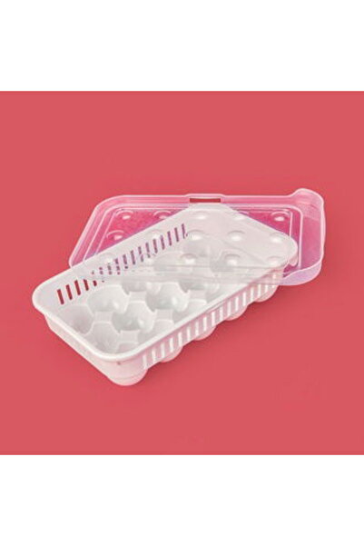 HOBBY LİFE Life 15-Piece Egg Storage Container - Transparent