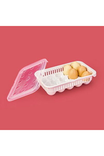 HOBBY LİFE Life 15-Piece Egg Storage Container - Transparent