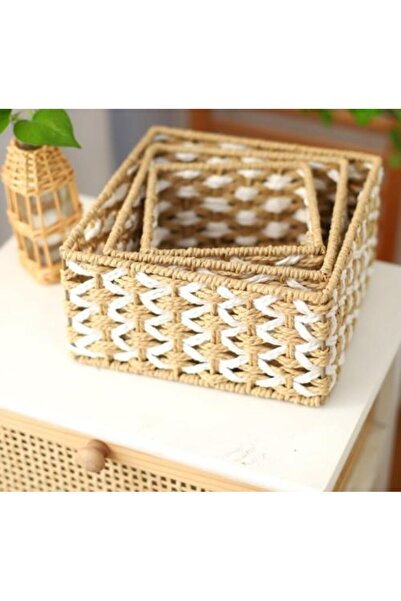 SPR سلال تخزين NESTNEST مبطنة بالخوص الطبيعي (مجموعة من 3)
