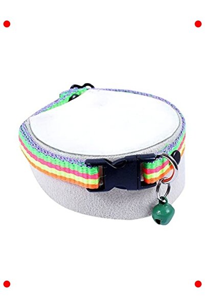 markentegra Zilli Cat and Dog Collar