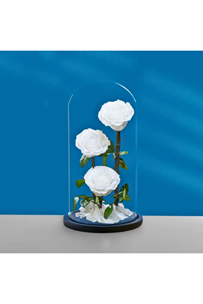 FOREVER ROSE in Glass Dome (White, Large) – Preserved 3 White Roses