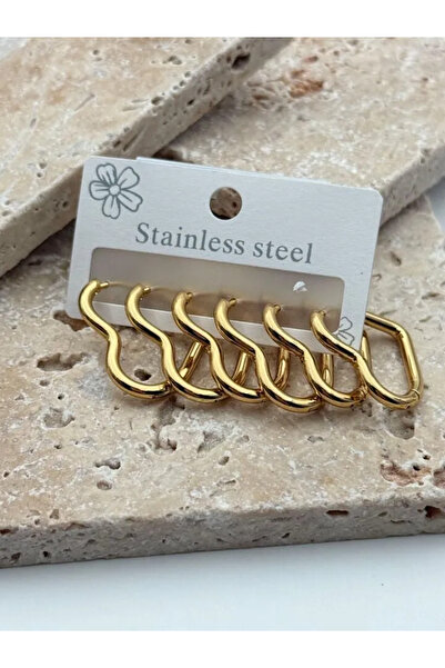 staınless steel Steel Heart Detail Earrings
