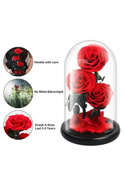 FOREVER ROSE Preserved Flower in Glass Dome – Red Medium Rose, Forever Enchanted Handmade Gift