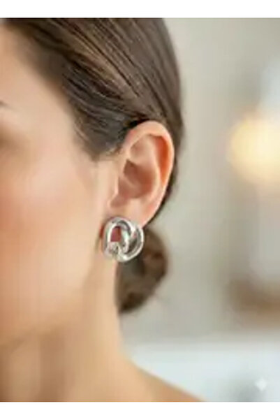 staınless steel Steel Earrings (Silver)