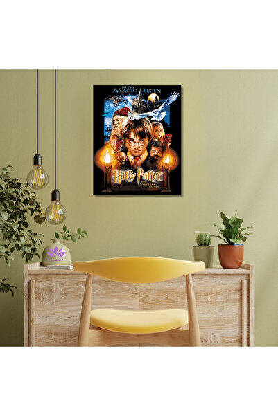 LİLYHOBBYLAND Sayılarla Boyama Seti Harry Potter 60x75 cm Magic Begin, İlk Büyü