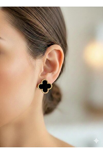 staınless steel Steel Clover Earrings (Gold/Black)
