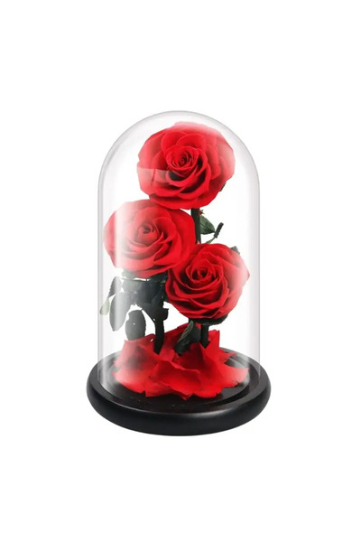 FOREVER ROSE Preserved Flower in Glass Dome – Red Medium Rose, Forever Enchanted Handmade Gift