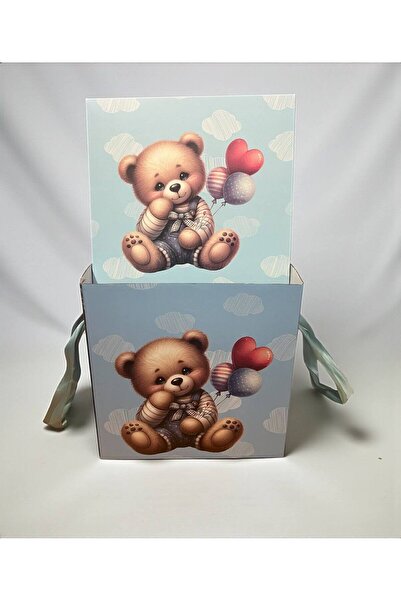 Botez Blue teddy bear suitcase transport box, 29x29x29 cm