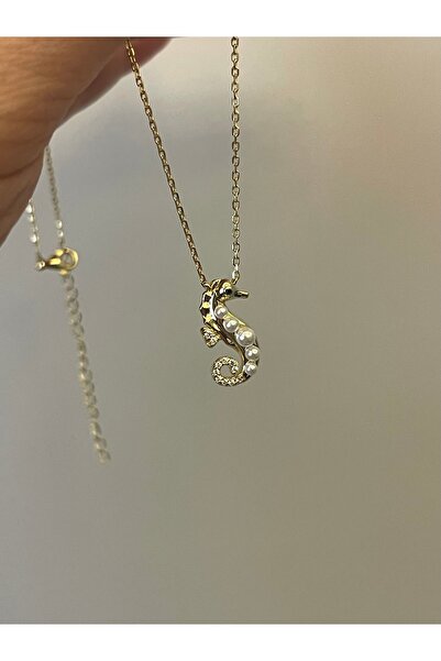 denizden silver Gümüş denizatı kolye - 45 cm