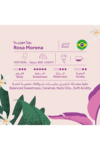 chemex co Brehant Roastery - Brazil Rosa Morena Roasted Coffee 250g