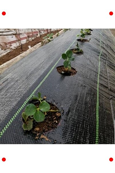 ulupazarlama Greenhouse Ground Cover - Weed Control - 0.5m X 4m Black