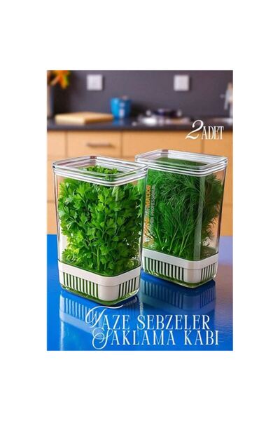 Skygo Yeşillik Saklama Kabı - Taze Yeşillik İçin - Soğan Maydanoz vb Yeşillik...