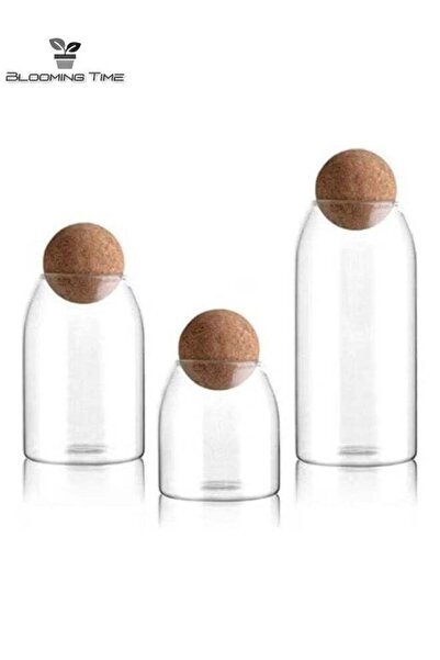 BLOOMING TIME 3 Piece Glass Food Storage Tanks Of Different Sizes With Round ...