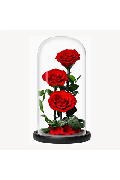 FOREVER ROSE وردة محفوظة في قبة زجاجية - حمراء، حجم كبير (هدية وردة دائمة)