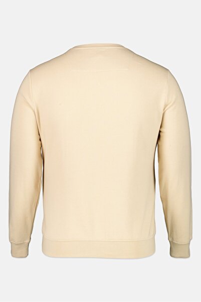 Threadbare Men Crew Neck Graphic Print Long Sleeve Sweatshirt, Beige