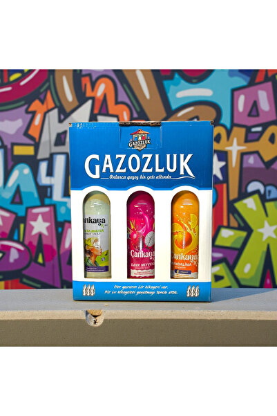 Gazozluk Çankaya 6'lı Karma B