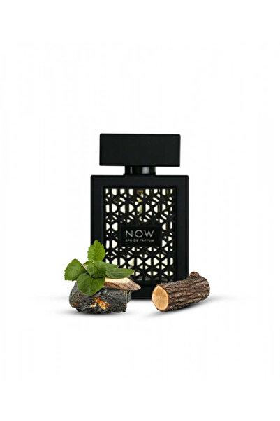 rave Now by Rive Men's Perfume 100ml