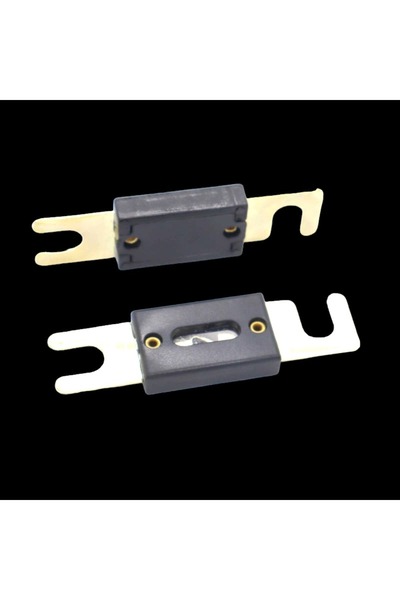 OEM ANL 200A car fuse