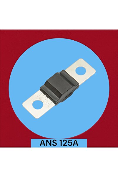 OEM ANS 125A car fuse