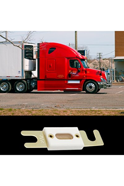 OEM Car fuse ANL-C 200A