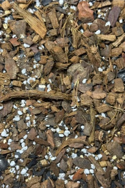 Minik Orman Botanik Hava Kökleri: Diğer Epifitler İçin Toprak Karışımı 3L (Hoya Tillandsia Bromeliaceae Ananas comosus)