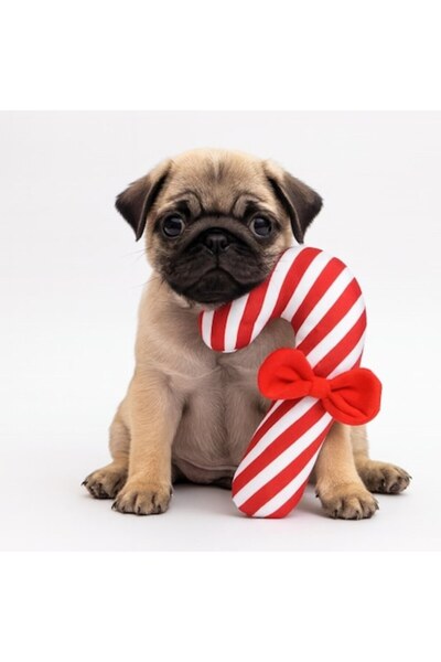 OEM Christmas dog toy, plush candy cane, white and red, 15x22 cm