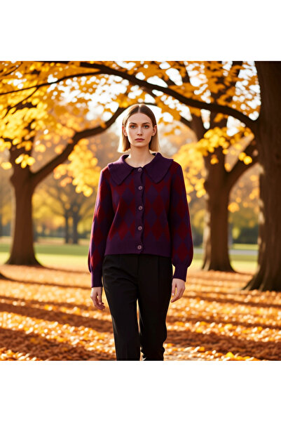 BENERLY Women's Regular Fit Diamond Pattern Peter Pan collar Long Sleeve Piqu...