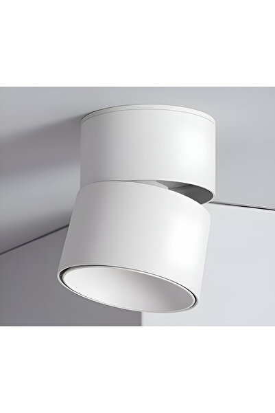 luminastar Spot type lighting fixture, adjustable 180° on two axes, 12W, white