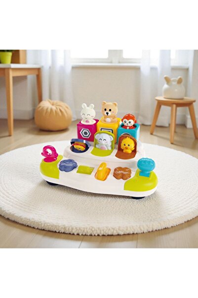 OEM Interactive Pop-Up Animal Toy - Educational Cause-Effect Activity Center for Babies