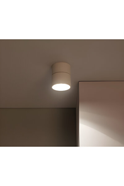 luminastar Spot type lighting fixture, adjustable 180° on two axes, 12W, white