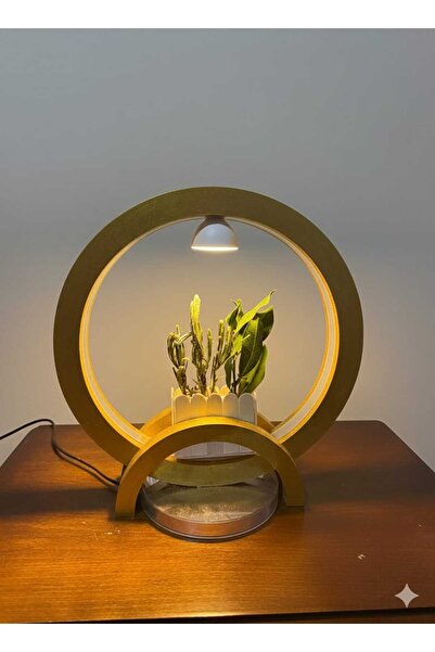 DREAMRUG Ahşap Lambader - Abajur -