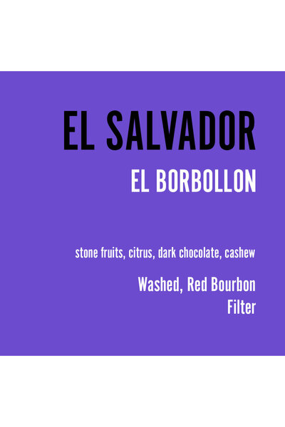 Typica Coffee El Salvador the Borbollon