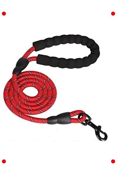 232premiumquality حزام وطوق للمشي مع الكلاب، أحمر عاكس للضوء بطول 1.5 متر