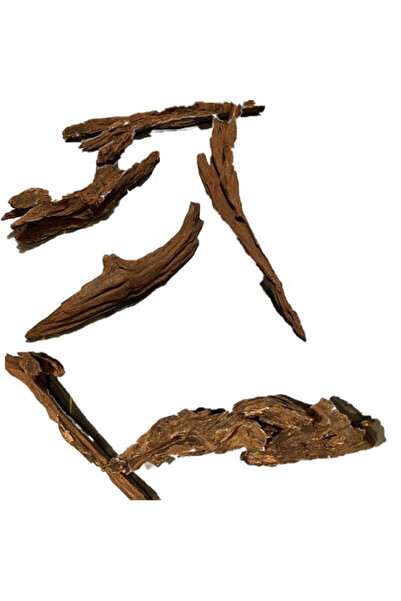 Marimo Scape Mangrove Kökü (12-20 cm) 1 ADET